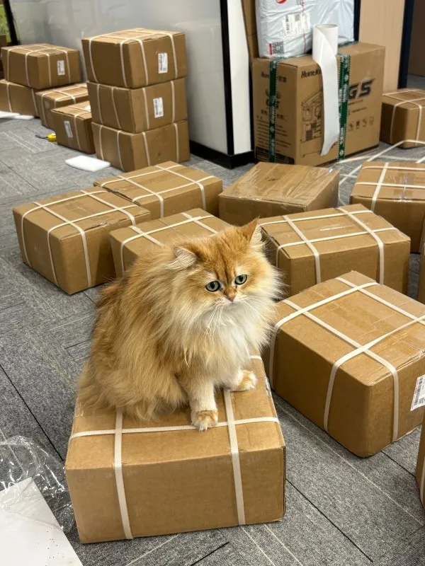 news-600-800 news-600-800